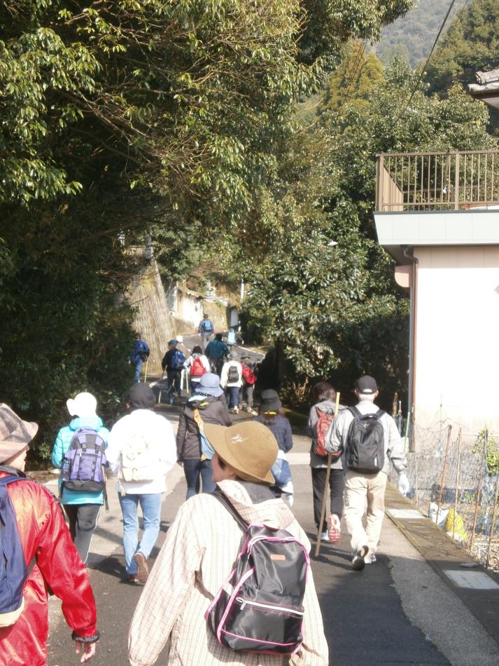 Ｈ27ウォーキング大会