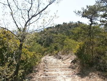 観海アルプス散歩階段③