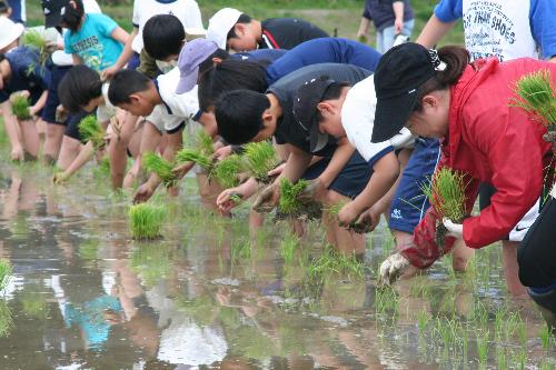 H24田植え①