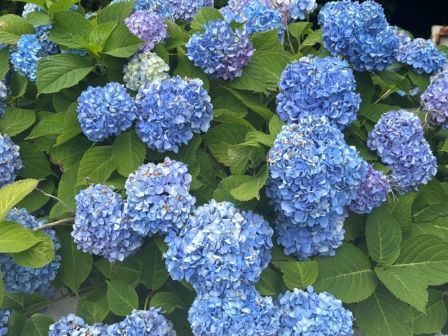1つ増えれば　一つ減る
