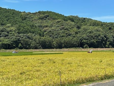 楽をしようとした結果・・・
