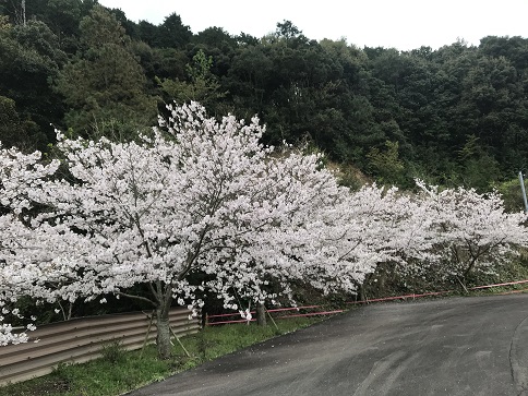 有明中坂の今日