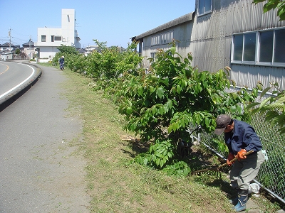 美化作業⑤