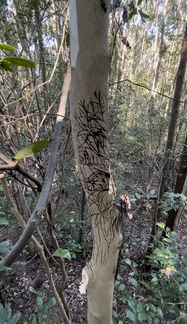 小宮地城跡地散策⑨