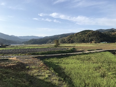 橋からの景色