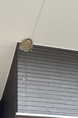 何を考えてるんでしょう？