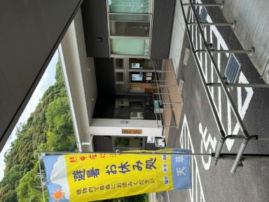 非難旗