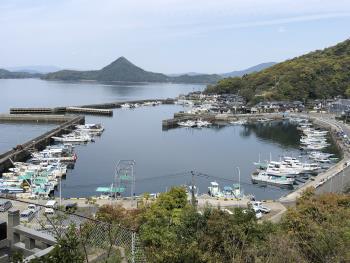 横浦島