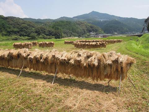 ８月１６日③