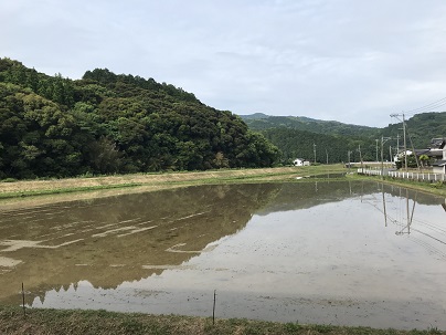 コミセン前映え