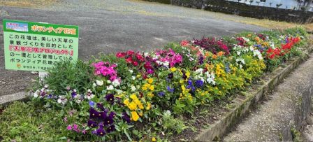 すなお花壇4月24日②