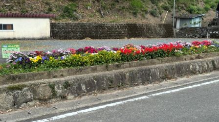 すなお5月8日②