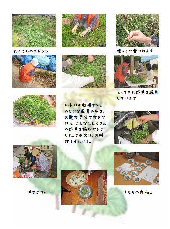 サンプル