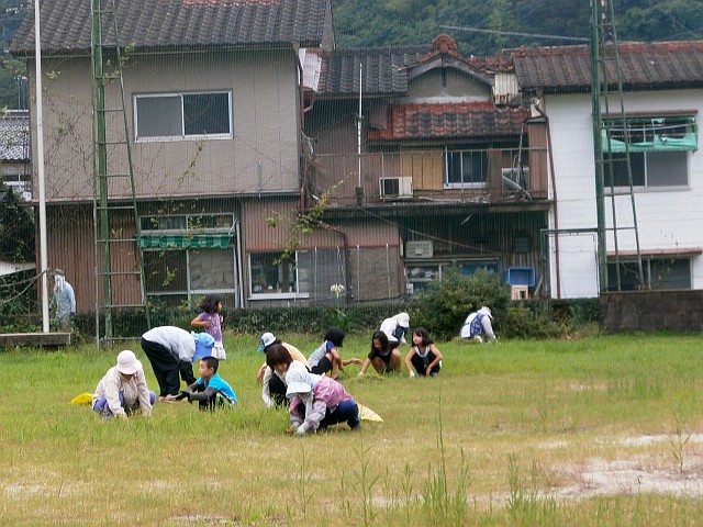 クリーン作戦