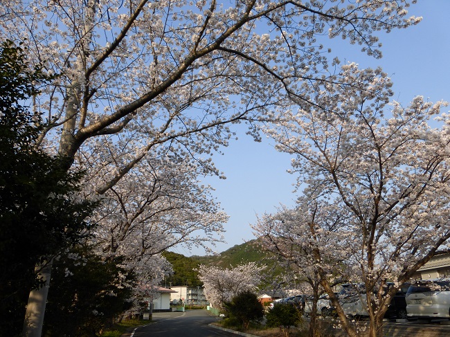 P1000213