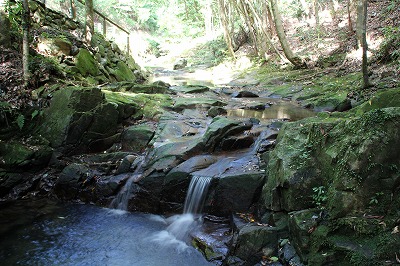 官山を流れる川