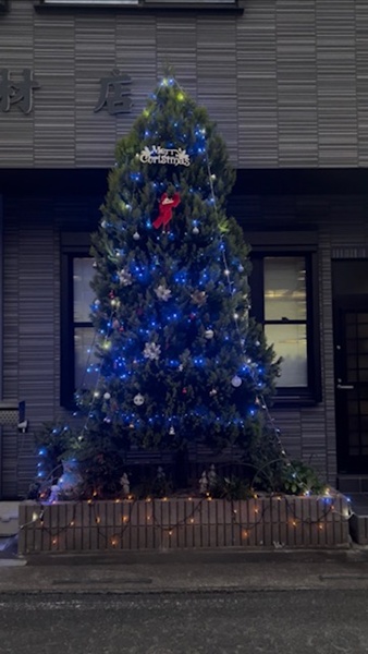 イルミネーション2025　写真No.1