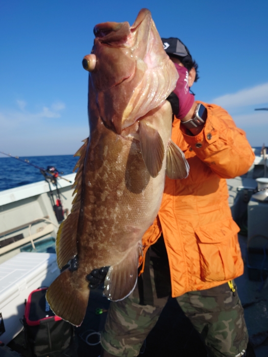水イカ泳がせ釣り