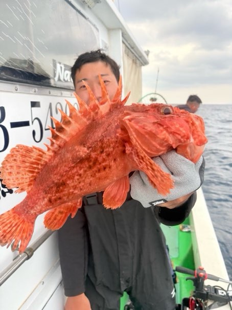 冷凍イワシ＆切り身　根魚釣り