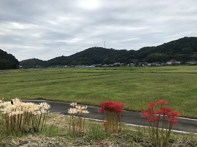 ⑭