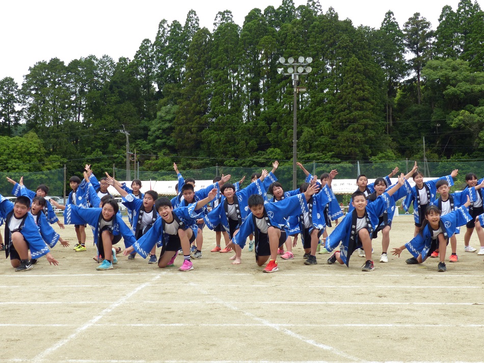新和ソーラン