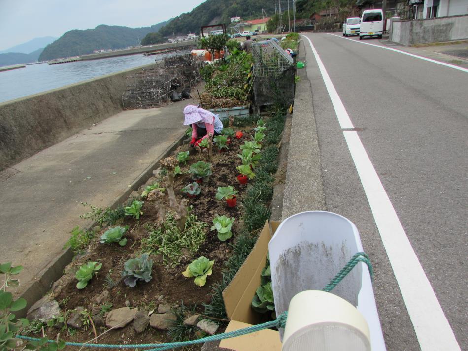 花いっぱい運動