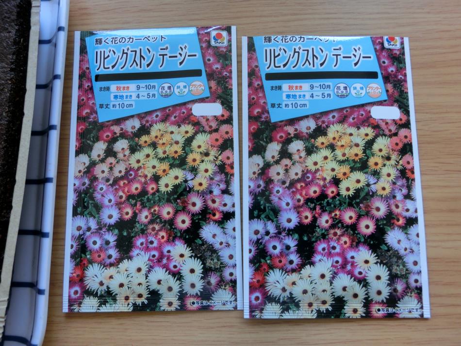 14 9 8 花の種まきました 日記 久玉地区振興会