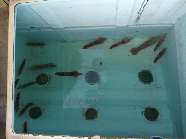 DCIM0039