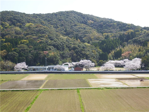八坂神社2