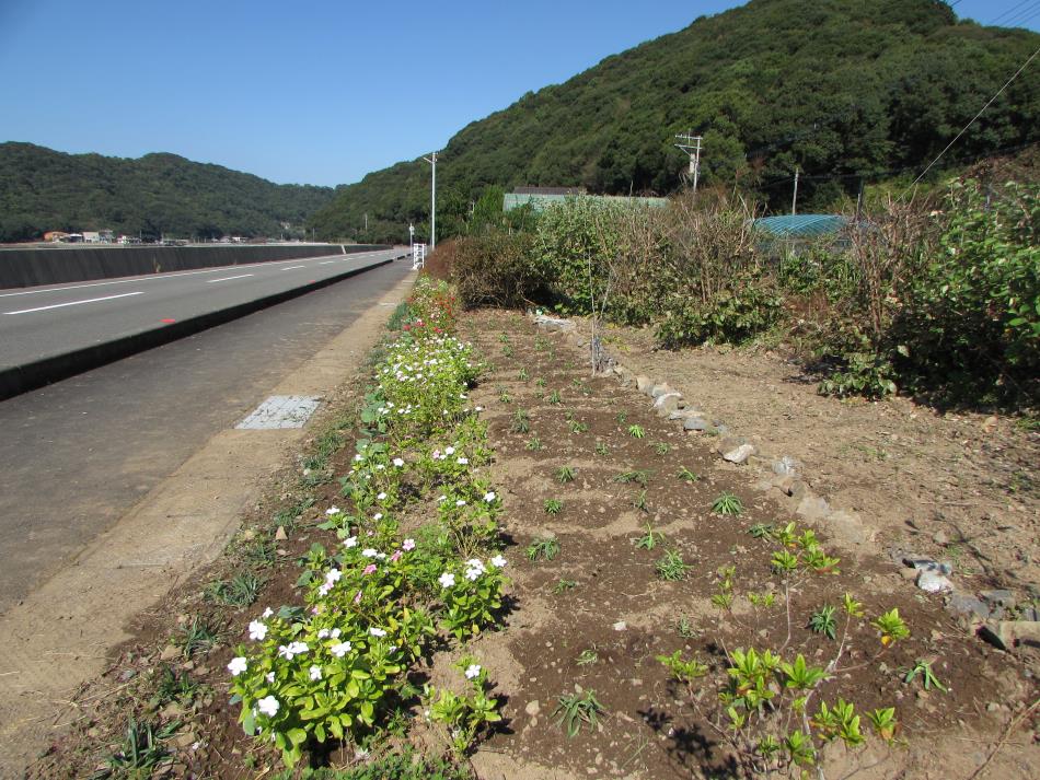 花いっぱい運動