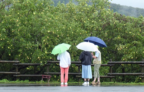 雨の中説明を聞く東京からの訪問者