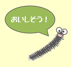 衣服の害虫