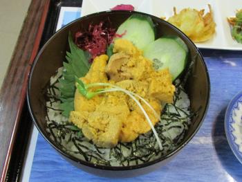 9/23ウニ丼