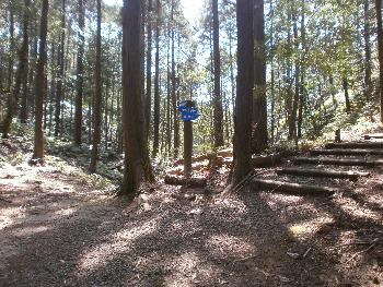 観海アルプス散歩分岐点　白嶽・鋸岳