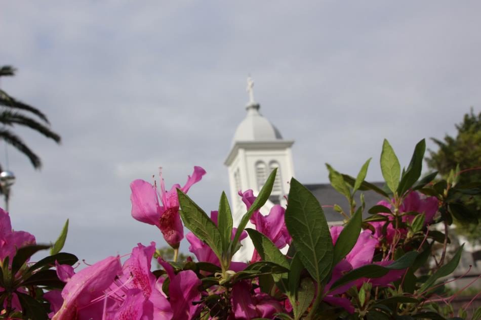 つつじ教会