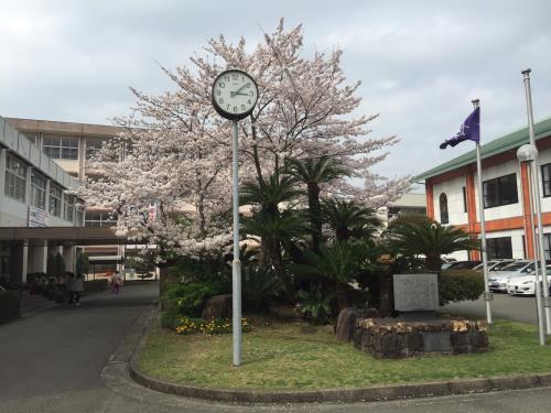 入学式　正門