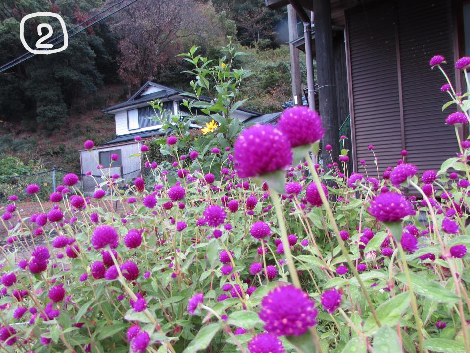 アー悲し。