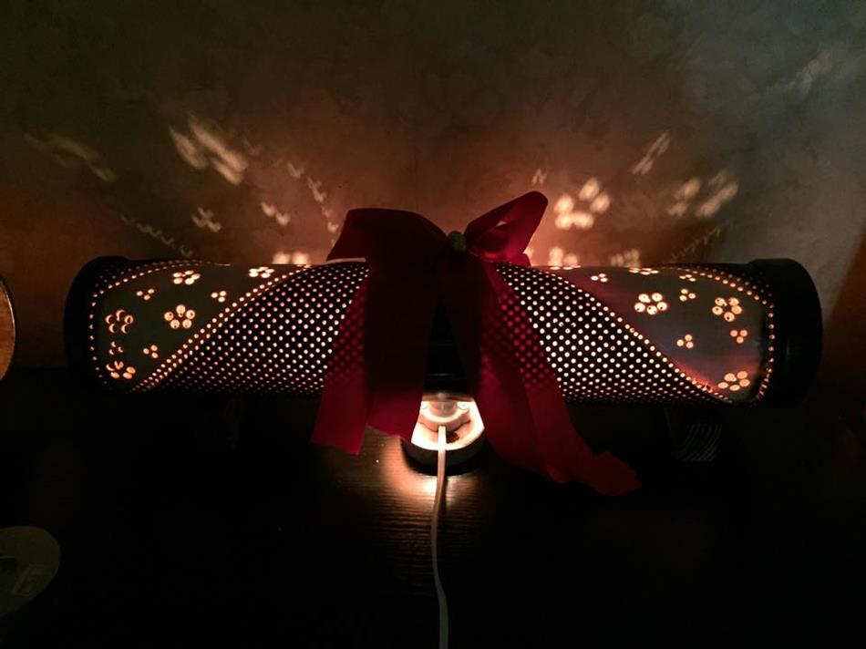 11650955_1451815368470733_710454024_n