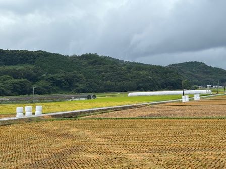 雨上がり１