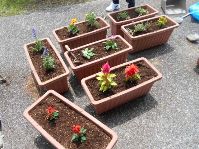 花植替え