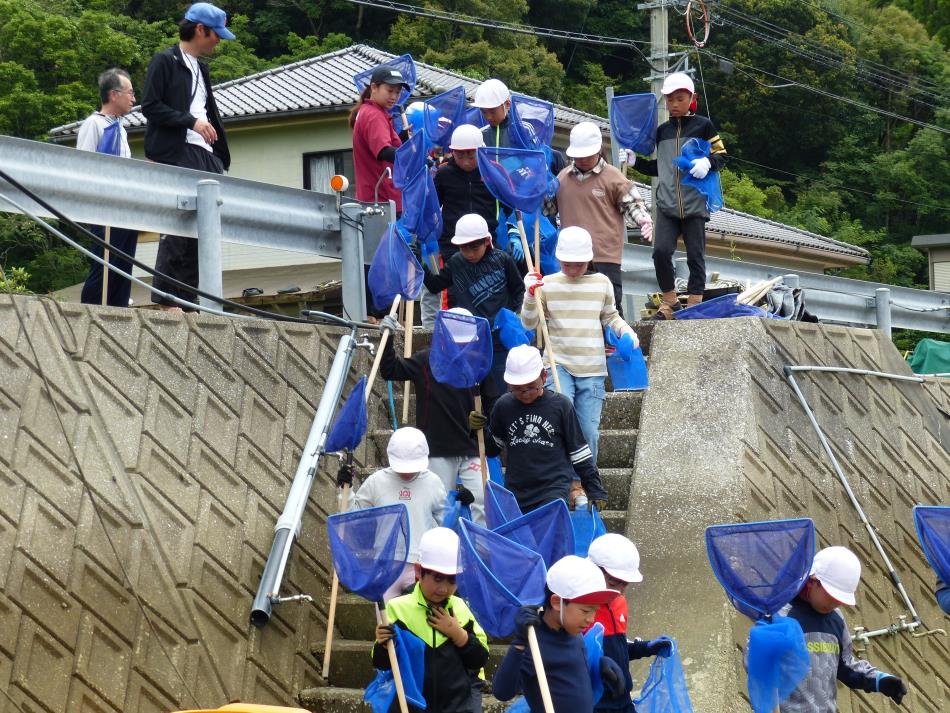 新和小6年生が《仕切り網漁体験》🐟をしました。