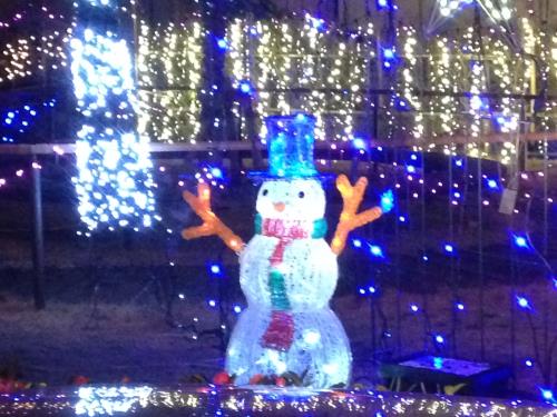 スマホでパチリ　下田2