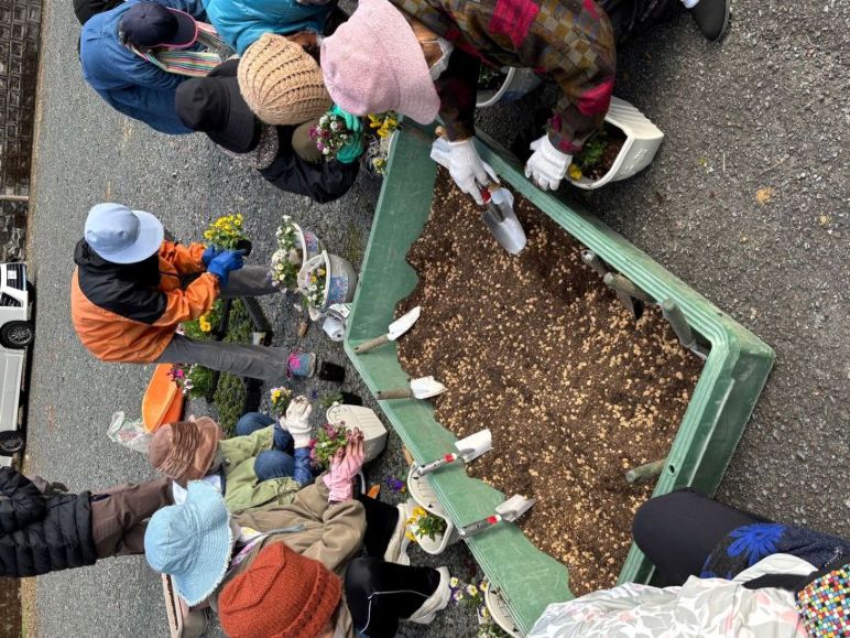 プランター花植え②