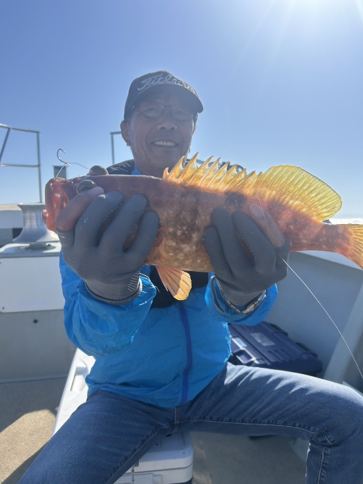 サバ子の泳がせ釣り