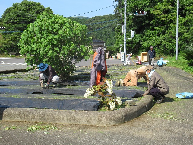ほり (4)