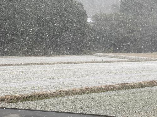 雪