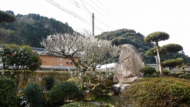 白梅と雀 (1)