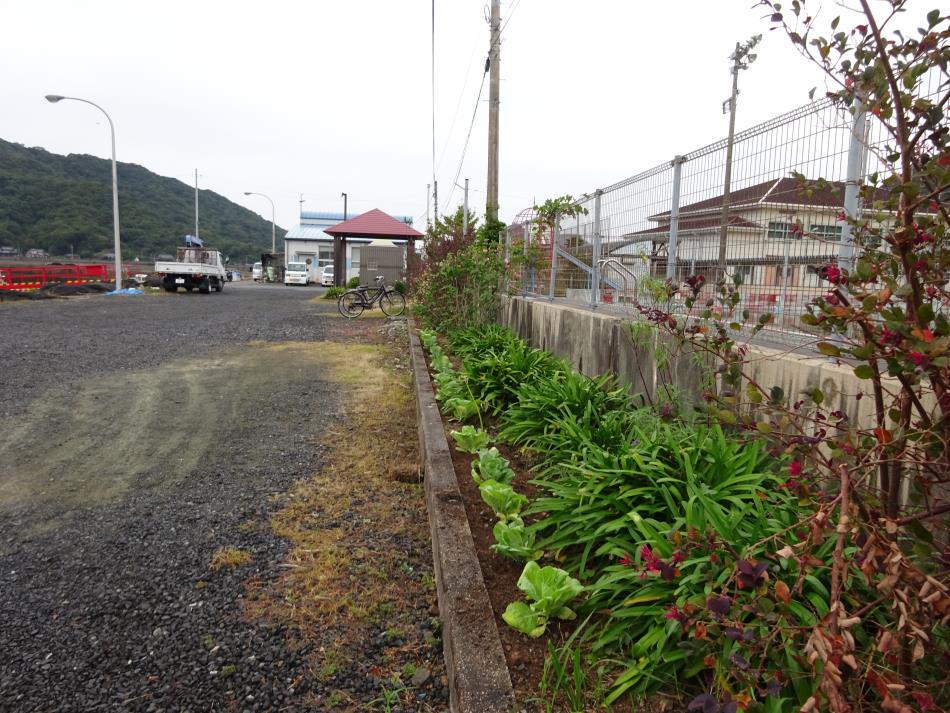 花壇整備活動