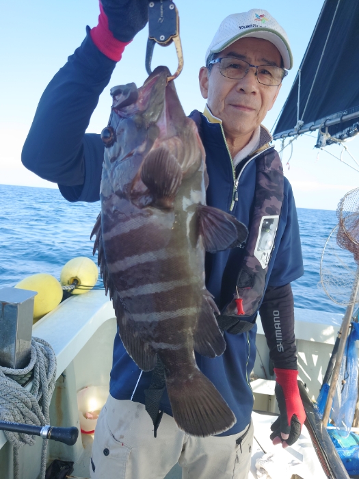 アジ泳がせと切り身釣り