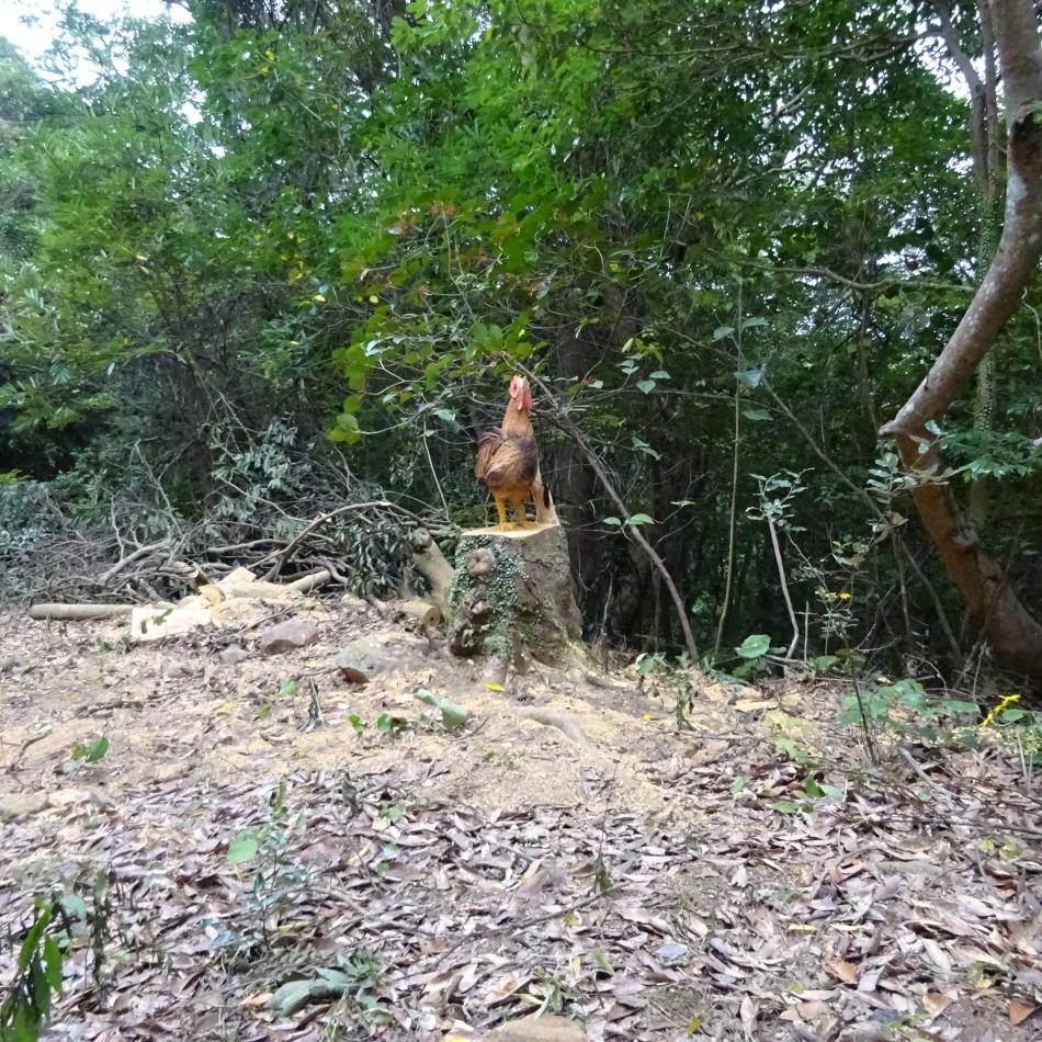 チェンソウアートができました